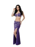 Belly Dance Suit - Image 4