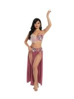 Belly Dance Suit - Image 4