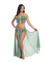 Belly Dance Suit