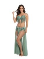 Belly Dance Suit - Image 4
