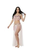 Belly Dance Suit
