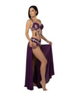 Belly Dance Suit