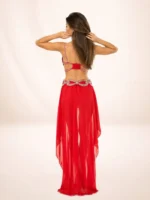Belly dance suits - Image 3
