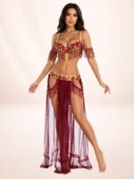 Belly Dance Suit - Image 3