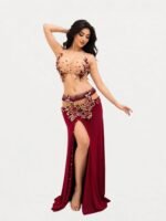 Belly dance suit