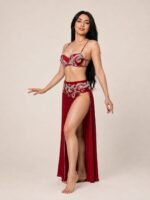 Belly Dance Suit