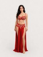 Belly Dance Suit - Image 3