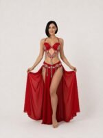 Belly Dance Suit - Image 2