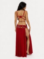 Belly Dance Suit - Image 3